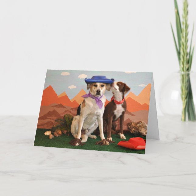 photo of 2  affectionate dogs with cowboy hats card (Front)