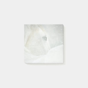 Photo of a Beautiful White Horse in Winter Post-it Notes