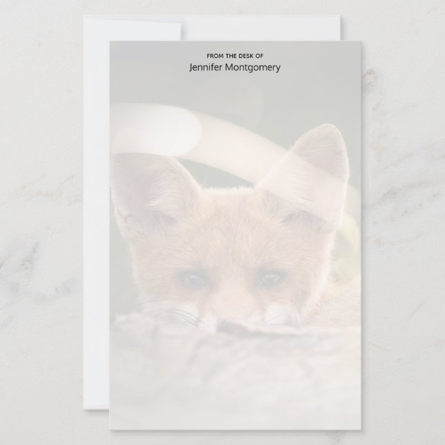 Photo of a Cute Little Orange Fox (Front)