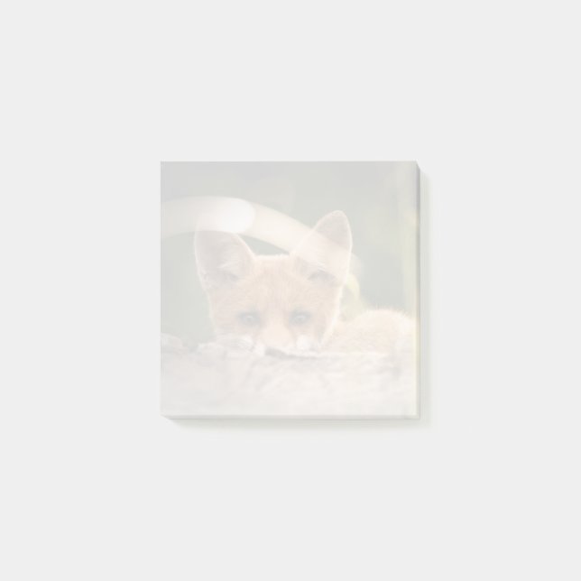 Photo of a Cute Little Orange Fox Post-it Notes (Front)