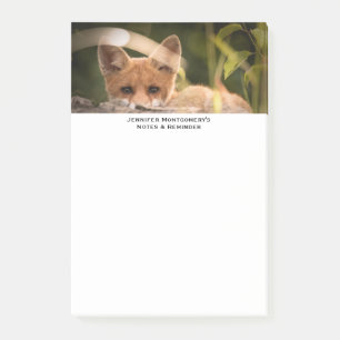 Photo of a Cute Little Orange Fox Post-it Notes