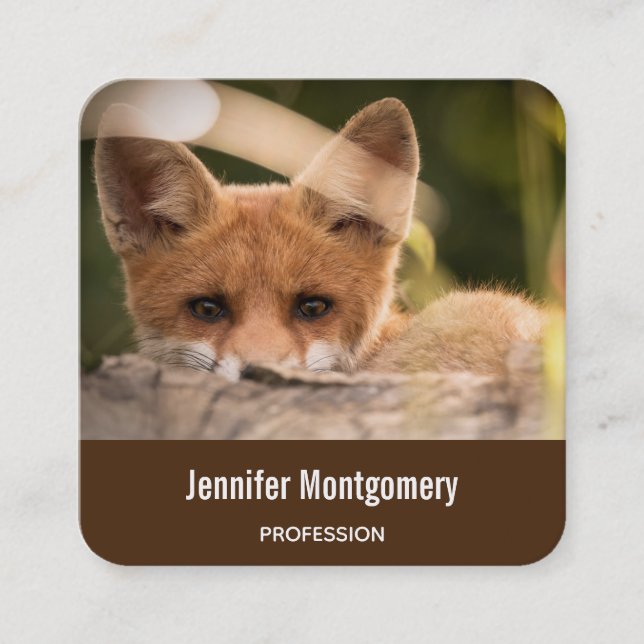  Photo of a Cute Little Orange Fox Square Business Card (Front)