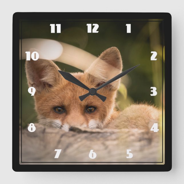Photo of a Cute Little Orange Fox Square Wall Clock (Front)