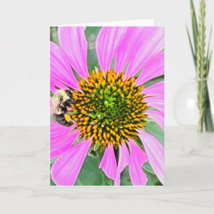 Photo of a Flower from New England Blank Greeting Card