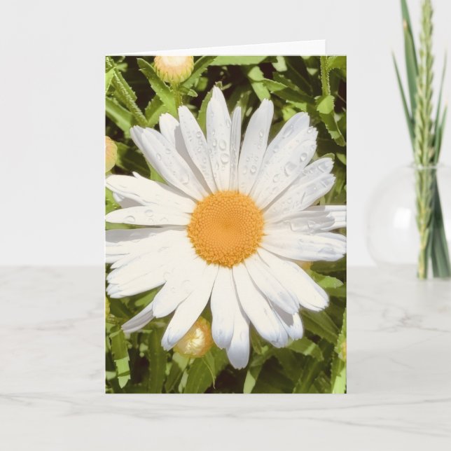 Photo of a Flower from New England Blank Greeting  Card (Front)