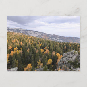 photo of a mountainous autumn forest, mountains, holiday postcard