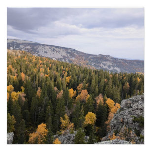 photo of a mountainous autumn forest, mountains, p poster