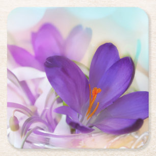 Photo of a Pretty Purple Spring Crocus Square Paper Coaster