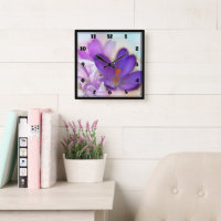 Photo of a Pretty Purple Spring Crocus