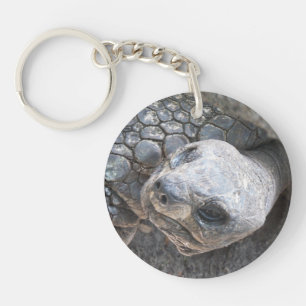 Photo of a tortoise face on a keychain