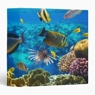 Photo of a tropical Fish on a coral reef Binder