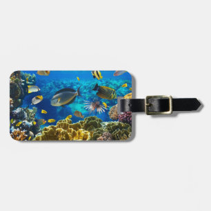 Photo of a tropical Fish on a coral reef Luggage Tag