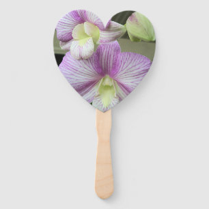 Photo of a white and purple orchid on a hand fan