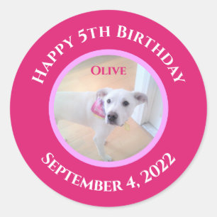 Photo of Adorable Puppy Dog Wearing Hot Pink Scarf Classic Round Sticker