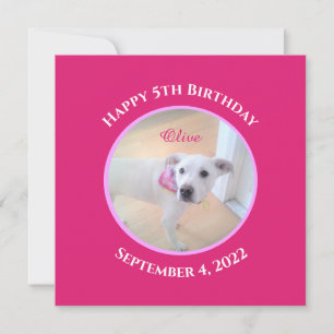 Photo of Adorable Puppy Dog Wearing Hot Pink Scarf Invitation