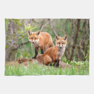 Photo of adorable red fox kits kitchen towel
