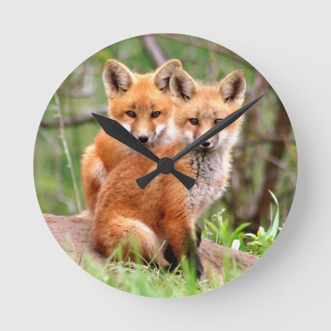 Photo of adorable red fox kits sitting together round clock (Front)