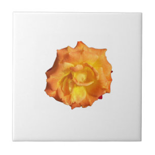 Photo of an orange rose on a tile