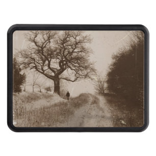 photo of atmospheric winter snow scene  trailer hitch cover