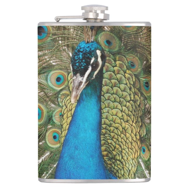 Photo of Beautiful Peacock with Spread Feathers Hip Flask (Front)