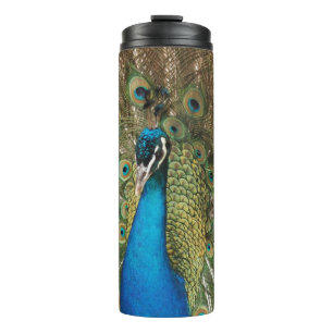 Photo of Beautiful Peacock with Spread Feathers Thermal Tumbler