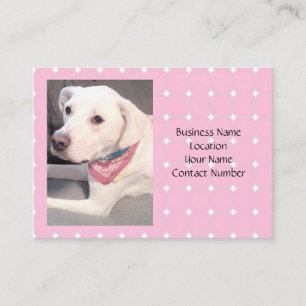 Photo of Beautiful Stylish White Dog Wearing Scarf Business Card