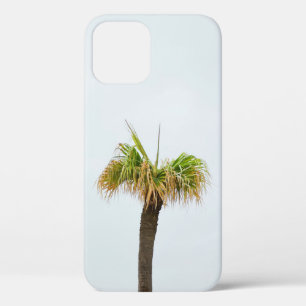 Photo of brown and green palm tree iPhone 12 case
