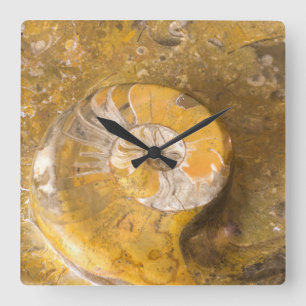Photo of Carved Bowl Made of Fossils in Rock Square Wall Clock