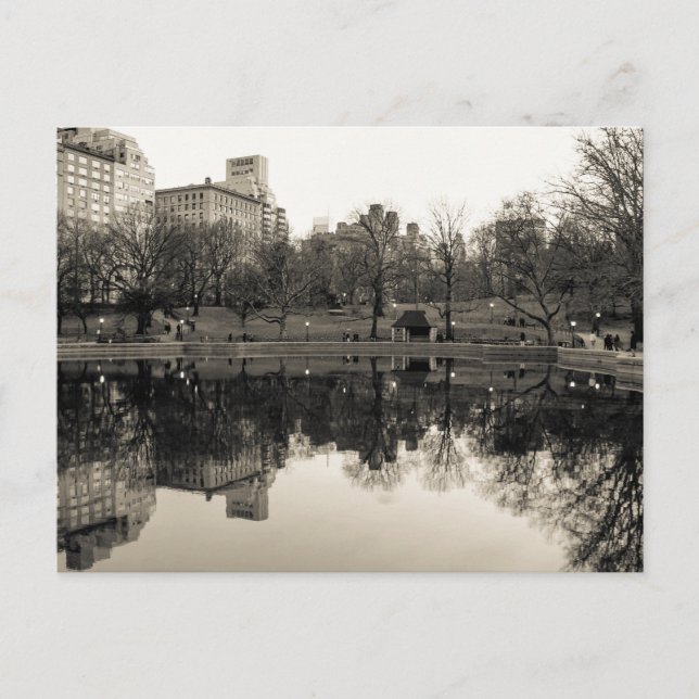 Photo of Central Park Landscape Postcard (Front)