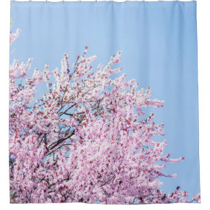 PHOTO OF CHERRY BLOSSOM TREE