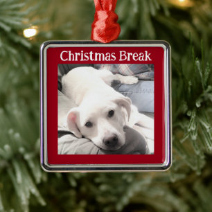 Photo of Cute Dog Christmas Break Red Metal Ornament