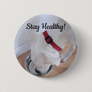 Photo of Cute Dog Drinking Water Motivational 2 Inch Round Button