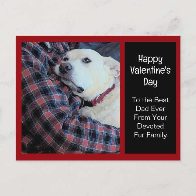 Photo of Cute Dog Hugging Dad Valentine's Day Holiday Postcard (Front)