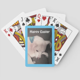 Photo of Cute Dog Peacefully Resting Blue Easter Playing Cards