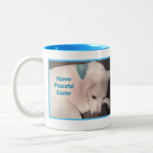 Photo of Cute Dog Peacefully Resting Blue Easter Two-Tone Coffee Mug