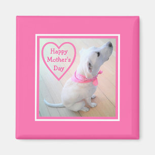 Photo of Cute Dog Wearing Pink Scarf Mother's Day Magnet