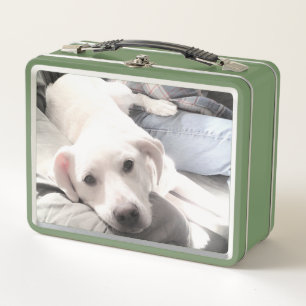Photo of Cute Dog With Best Friend Green Metal Lunch Box