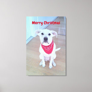 Photo of Cute Dog with Funny Ears Red Christmas Canvas Print