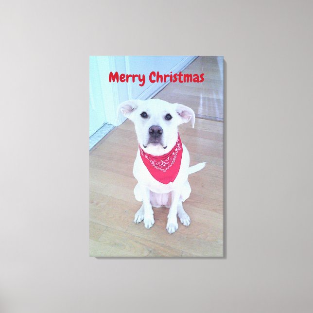 Photo of Cute Dog with Funny Ears Red Christmas Canvas Print (Front)