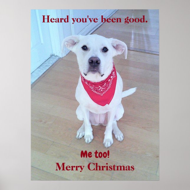 Photo of Cute Dog With Funny Ears Sticking Out Red Poster (Front)