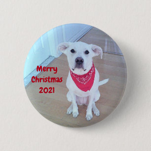 Photo of Cute Dog With Funny Sticking Out Ears Red 2 Inch Round Button