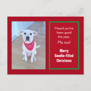 Photo of Cute Dog With Funny Sticking Out Ears Red Holiday Postcard