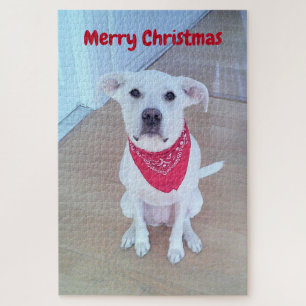 Photo of Cute Dog With Funny Sticking Out Ears Red Jigsaw Puzzle