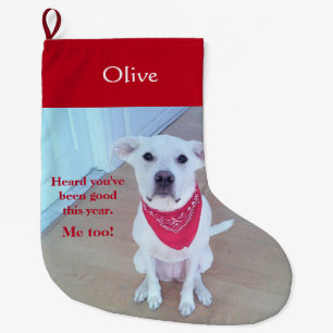 Photo of Cute Dog With Funny Sticking Out Ears Red Large Christmas Stocking