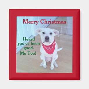 Photo of Cute Dog With Funny Sticking Out Ears Red Magnet