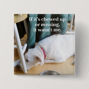 Photo of Cute Innocent and Guilty Puppy Dog 2 Inch Square Button