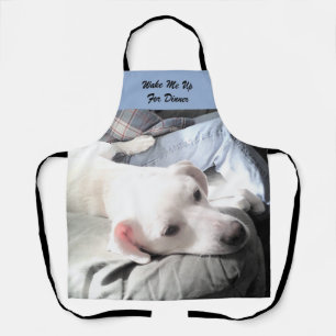 Photo of Cute Lazy Dog Napping Before Dinner Time Apron