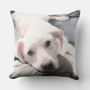Photo of Cute Lazy White Dog Hanging Out with Dad Throw Pillow