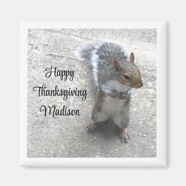 Photo of Cute Little Squirrel with Fluffy Tail Magnet (Front)