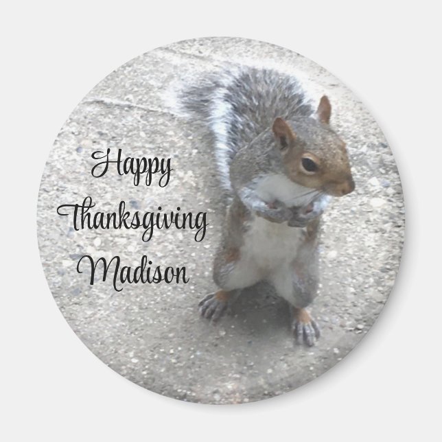 Photo of Cute Little Squirrel with Fluffy Tail Magnet (Front)